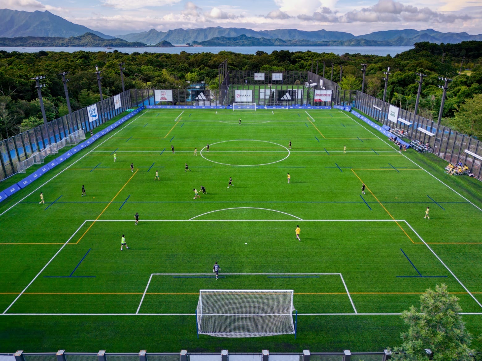 什么样的球员最受教练喜欢？